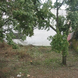 Bild 112